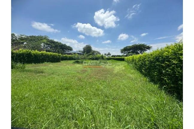 Lotes, Venta, Palmira - $380.000.000