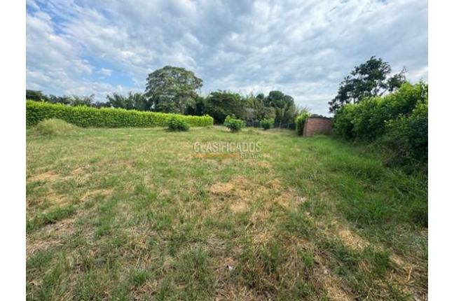 Lotes, Venta, Palmira - $380.000.000