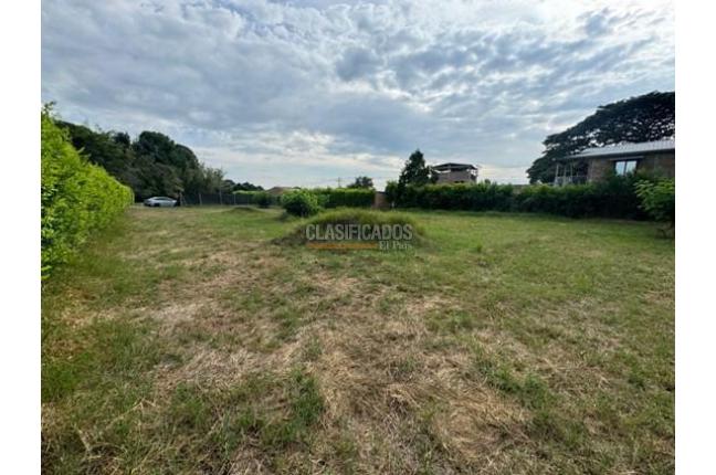 Lotes, Venta, Palmira - $380.000.000