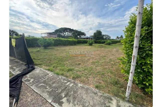 Lotes, Venta, Palmira - $380.000.000