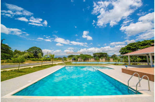 Lotes, Venta, Palmira - $380.000.000