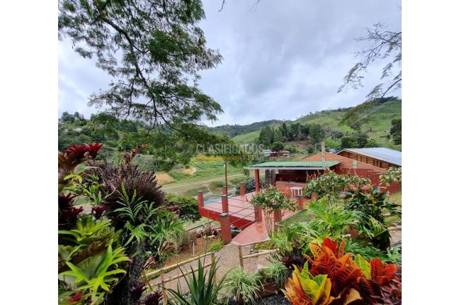 Fincas y Casas Campestres, Venta, Calima (Darién) - $1.200.000.000