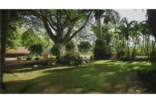 Fincas y Casas Campestres, Alquiler, El Cerrito - $25.000.000