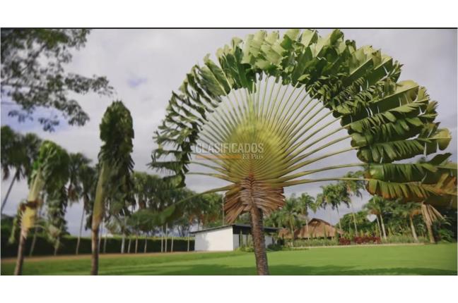 Fincas y Casas Campestres, Alquiler, El Cerrito - $25.000.000