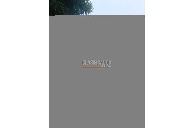 Locales y Bodegas, Alquiler, Soledad - $33.000.000