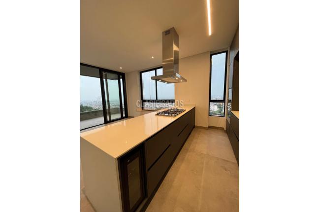 Apartamentos, Venta, Bellavista - $1.650.000.000