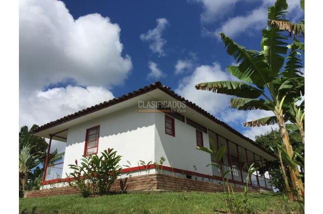 Fincas y Casas Campestres, Venta, Montenegro - $3.200.000.000