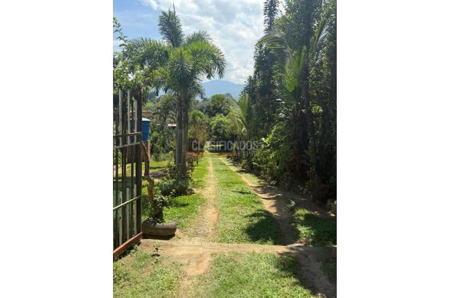 Casas, Venta, Floridablanca - $650.000.000