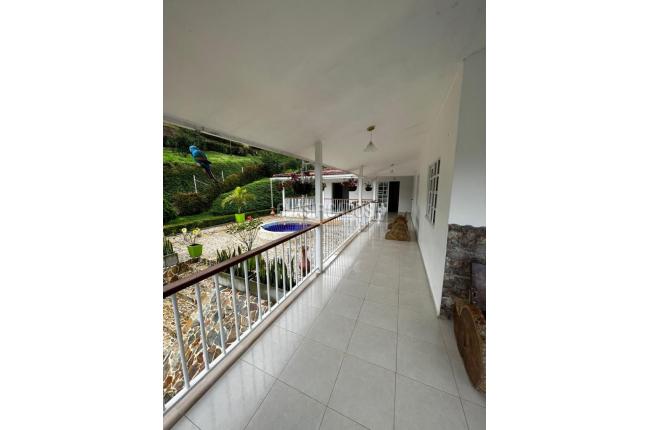 Fincas y Casas Campestres, Venta, Pereira - $2.500.000.000