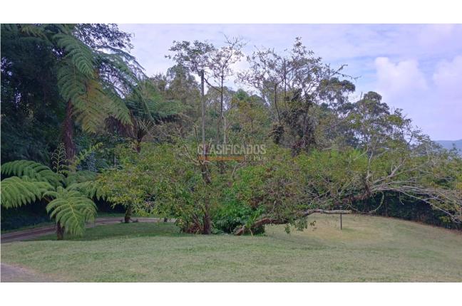 Fincas y Casas Campestres, Venta, La Elvira - $750.000.000