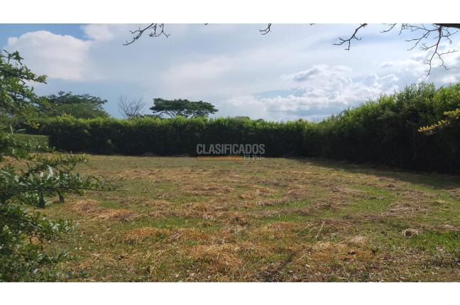 Lotes, Venta, Jamundí - $550.000.000