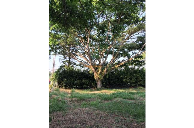 Lotes, Venta, Jamundí - $595.000.000