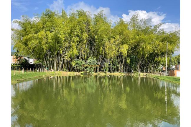 Casas, Venta en Guaduales de las Mercedes