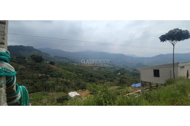 Lotes, Venta en La Reforma