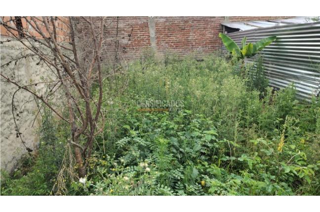 Lotes, Venta, Calima (Darién) - $65.000.000