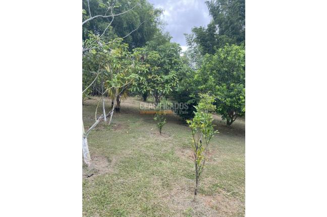 Fincas y Casas Campestres, Venta, Dagua - $550.000.000