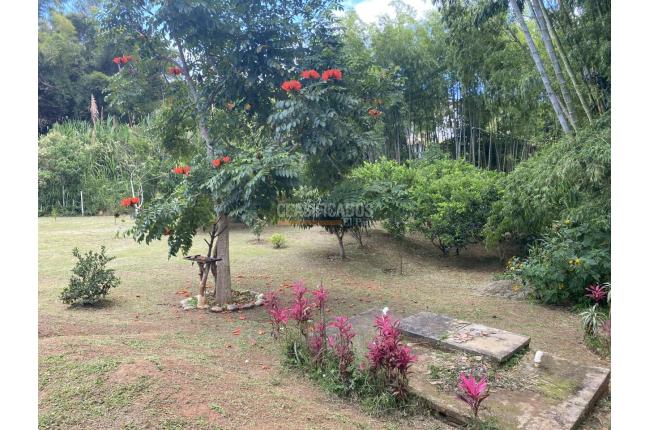 Fincas y Casas Campestres, Venta, Dagua - $550.000.000