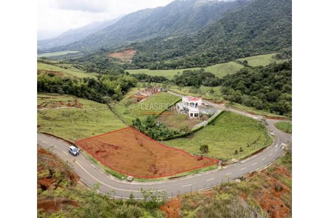 Lotes, Venta, Palmira - $450.000.000