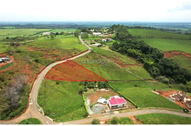 Lotes, Venta, Palmira - $450.000.000