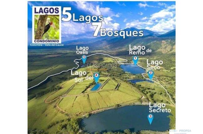 Lotes, Venta, Palmira - $450.000.000