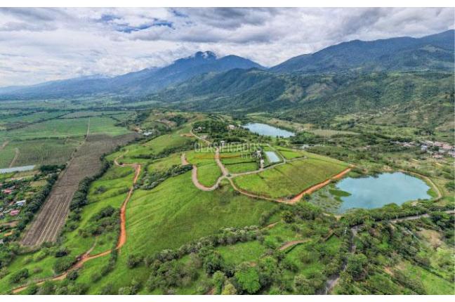 Lotes, Venta, Palmira - $450.000.000