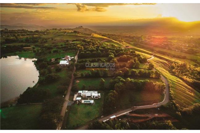 Lotes, Venta, Palmira - $450.000.000