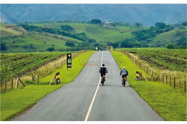 Lotes, Venta, Palmira - $450.000.000