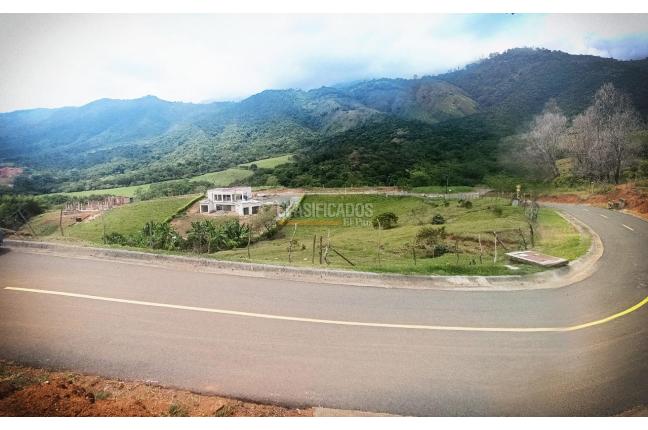 Lotes, Venta, Palmira - $450.000.000