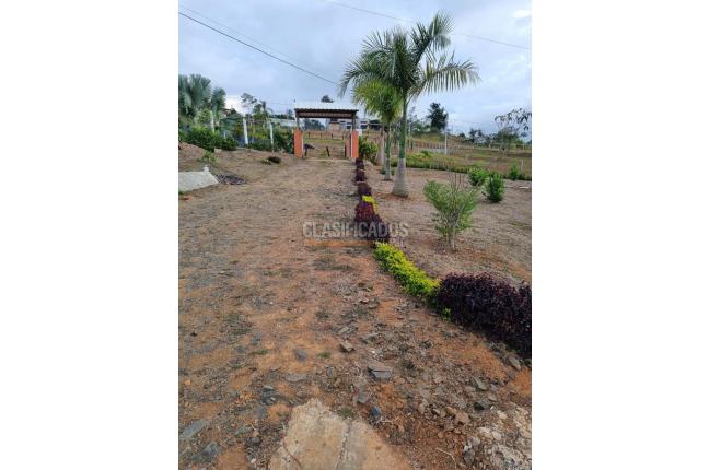 Fincas y Casas Campestres, Venta en Dagua