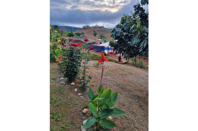 Fincas y Casas Campestres, Venta, Dagua - $850.000.000