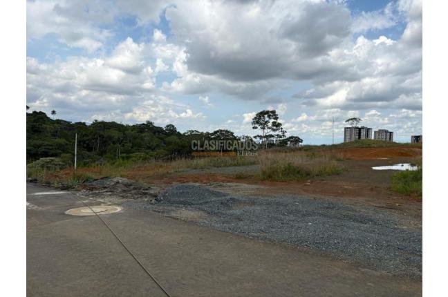 Lotes, Venta, Ciudad Jardín - $6.500.000.000