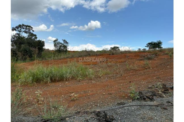 Lotes, Venta, Ciudad Jardín - $6.500.000.000