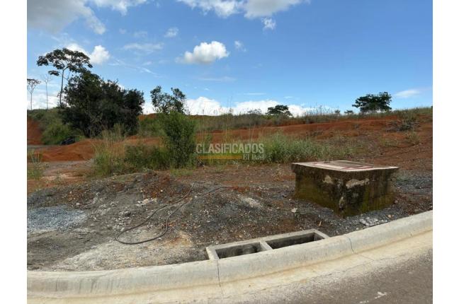 Lotes, Venta, Ciudad Jardín - $6.500.000.000