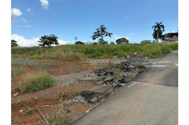 Lotes, Venta, Ciudad Jardín - $6.500.000.000