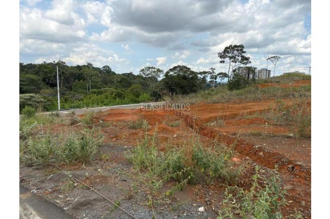 Lotes, Venta, Ciudad Jardín - $6.500.000.000