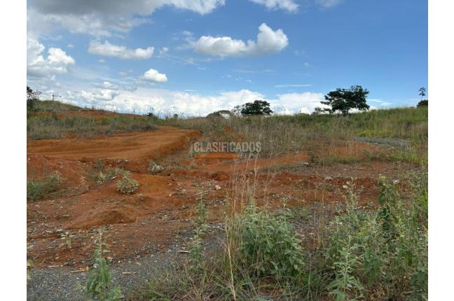 Lotes, Venta, Ciudad Jardín - $6.500.000.000