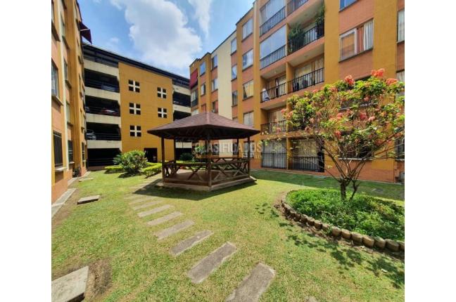 Apartamentos, Alquiler en El Limonar