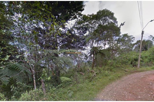 Lotes, Venta en La Elvira