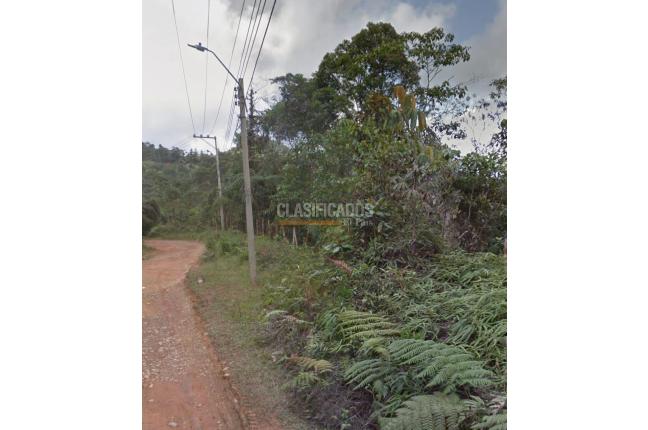 Lotes, Venta en La Elvira