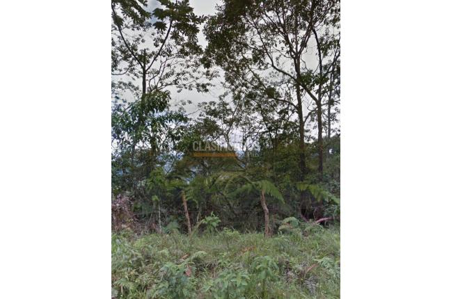 Lotes, Venta, La Elvira - $800.000.000