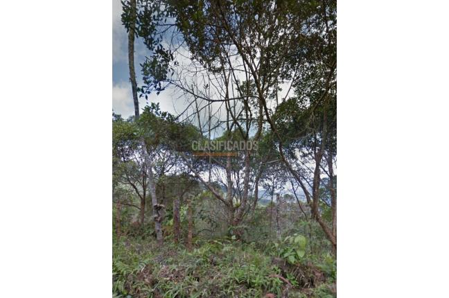 Lotes, Venta, La Elvira - $800.000.000