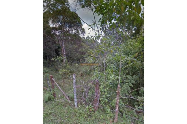 Lotes, Venta, La Elvira - $800.000.000