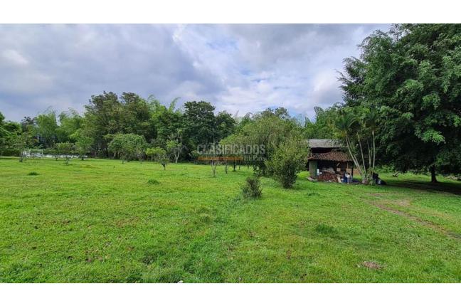 Lotes, Venta, Palmira - $1.152.000.000