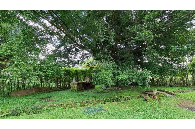 Lotes, Venta, Palmira - $1.152.000.000