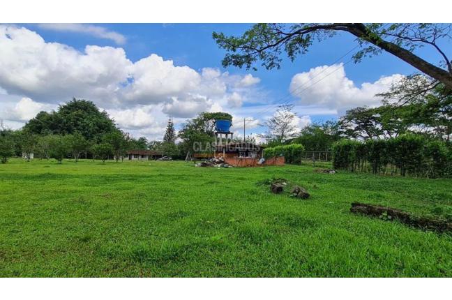 Lotes, Venta, Palmira - $1.152.000.000