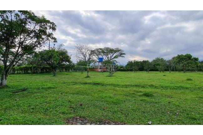 Lotes, Venta, Palmira - $1.152.000.000