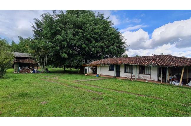 Lotes, Venta, Palmira - $1.152.000.000