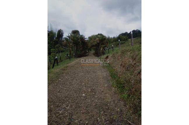 Lotes, Venta en Calima (Darién)