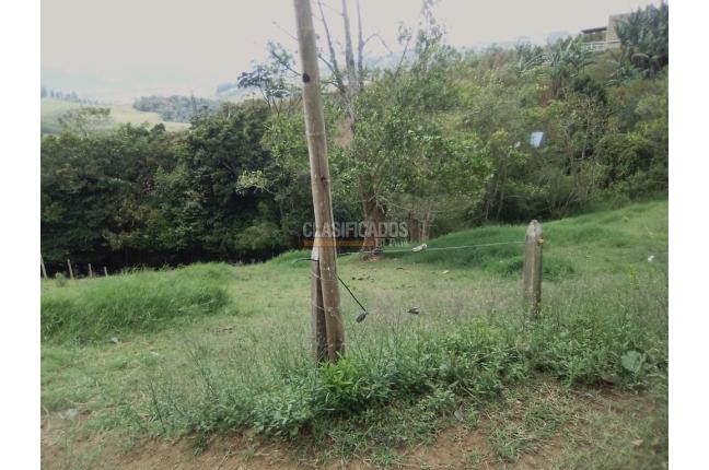 Lotes, Venta en Calima (Darién)