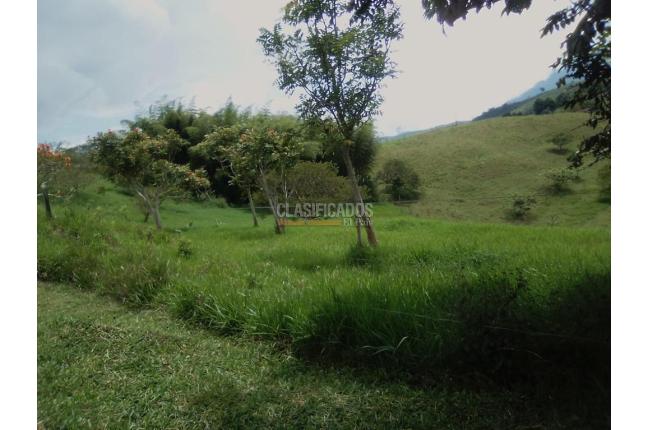 Lotes, Venta, Calima (Darién) - $760.430.000